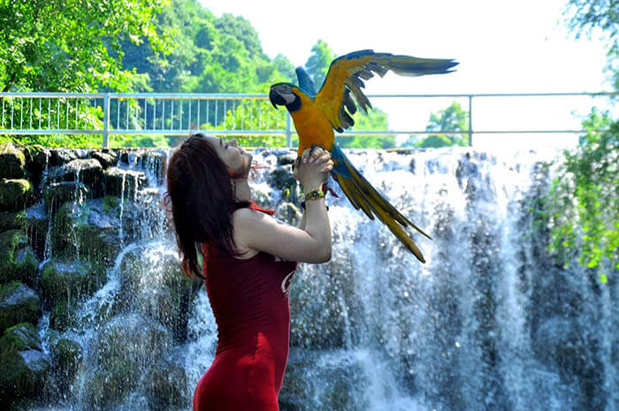 Gebze Merkez Öğrenci Escort Bayan Yeşim - Image 3